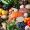 assortment-of-healthy-food-for-clean-eating