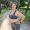 Fat woman and sports. Girl doing exercise for weight loss in the fresh air and laughing in camera after training.